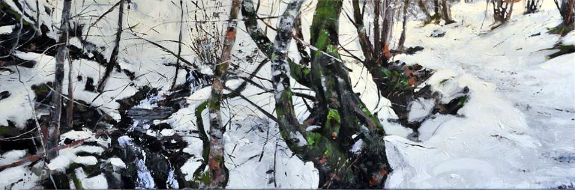 nieve-en-el-bosque-de-convadonga-