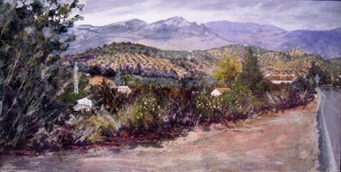 Image Image
