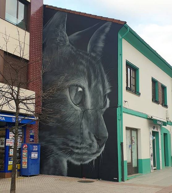 EL GATO NEGRO de Xolaka -  Premio Street Art Cities