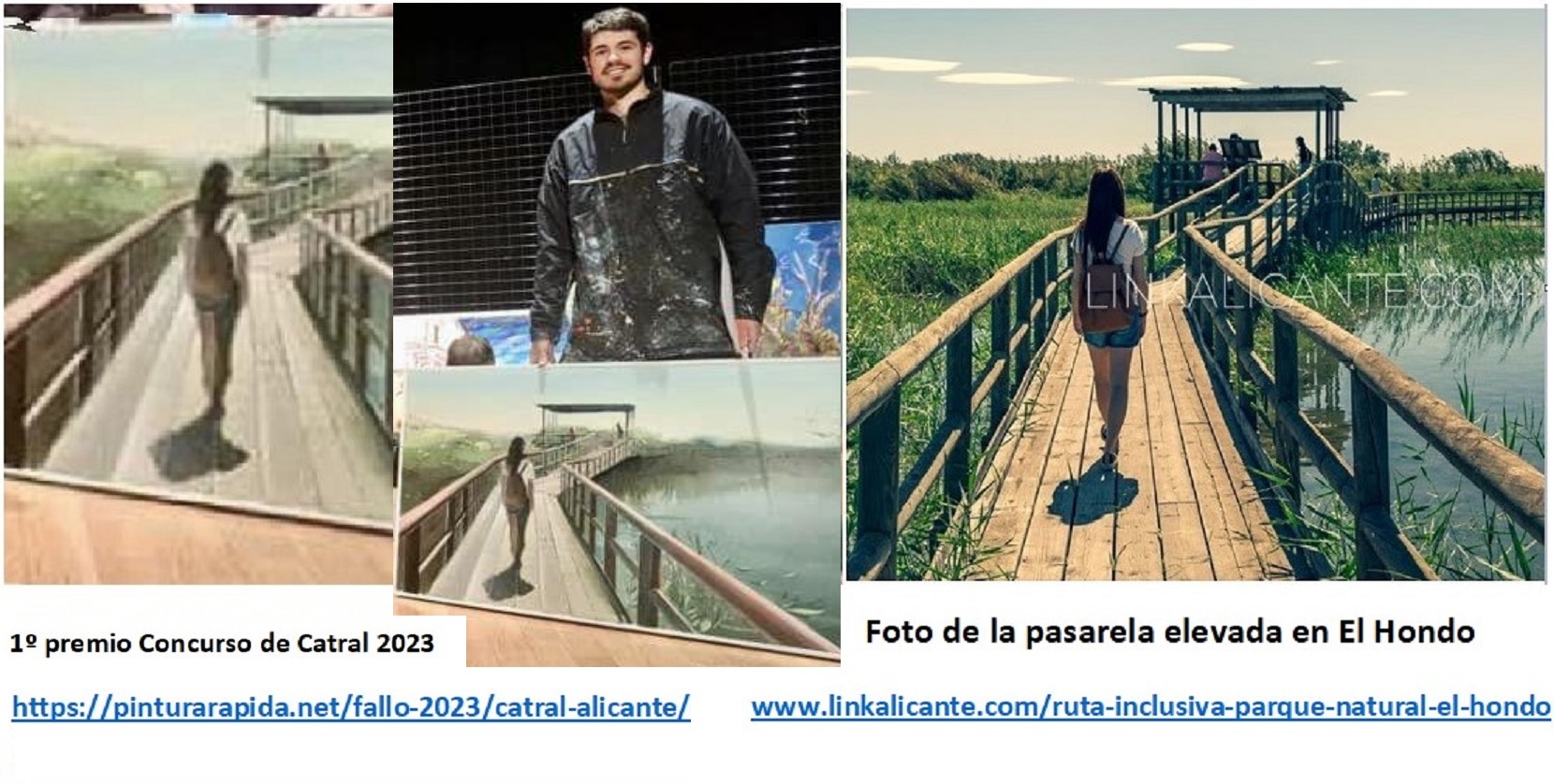 1º premio Certamen de Catral 2023   ///   Foto de la pasarela elevada en El Hondo  