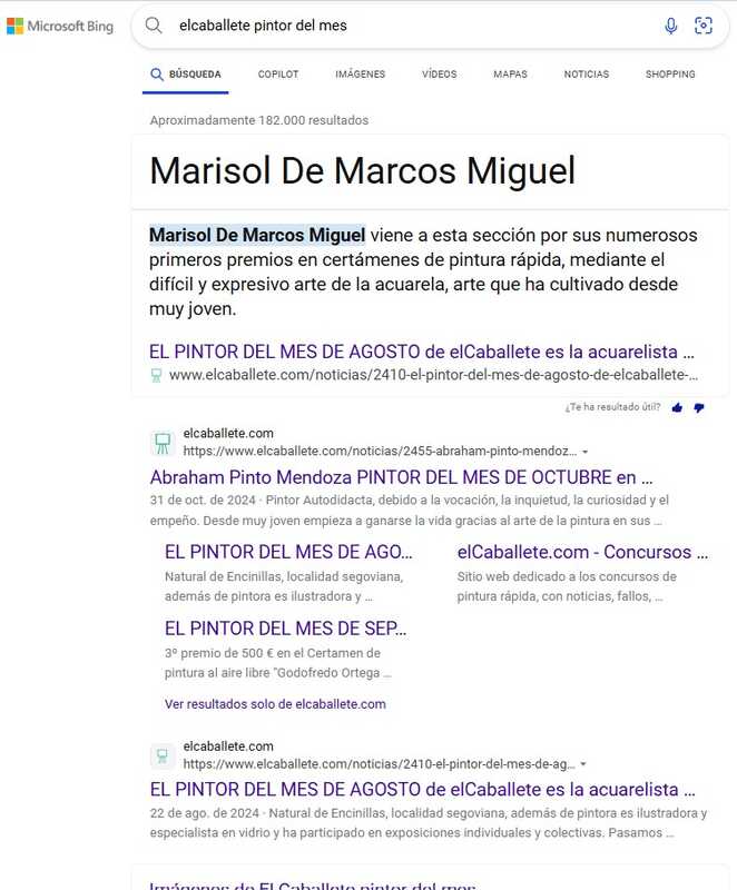 busquedas-en-elcaballete-sin-instalar-casi-nada-solo-con-un-buscador-popular