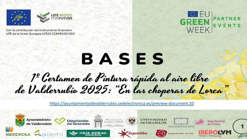 i-certamen-de-pintura-rapida-al-aire-libre-de-valderrubio-2025-e-n-l-a-s-c-h-o-p-e-r-a-s-d-e-l-o-r-c-a-